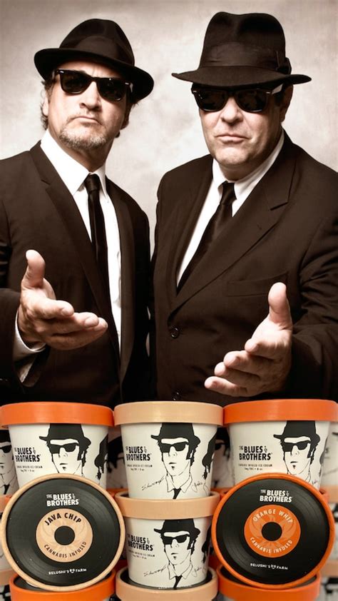 who are the blues brothers based on inspired by